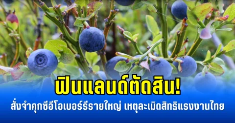 ฟินแลนด์ตัดสิน! สั่งจำคุกซีอีโอเบอร์รีรายใหญ่ เหตุละเมิดสิทธิแรงงานไทย (ข่าวตปท.)