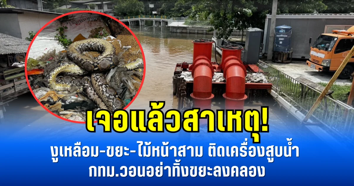 เจอแล้วสาเหตุ! งูเหลือม-ขยะ-ไม้หน้าสาม ติดเครื่องสูบน้ำ กทม.วอนอย่าทิ้งขยะลงคลอง