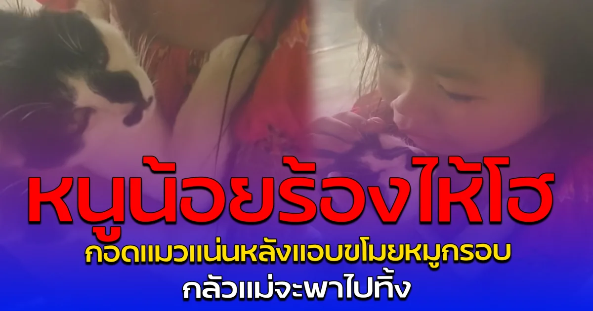 หนูน้อยร้องไห้โฮ กอดแมวแน่นหลังแอบขโมยหมูกรอบ กลัวแม่จะพาไปทิ้ง