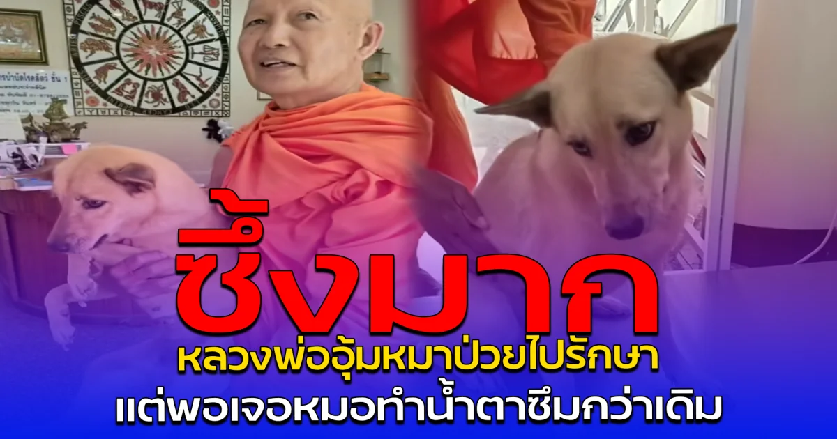 ซึ้งมาก หลวงพ่ออุ้มหมาป่วยไปรักษา แต่พอเจอหมอทำน้ำตาซึมกว่าเดิม