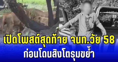 เห็นแล้วสะเทือนใจ เปิดโพสต์สุดท้ายเจ้าหน้าที่วัย 58 ก่อนโดนสิงโตรุมขย้ำกลางสวนสัตว์ดัง