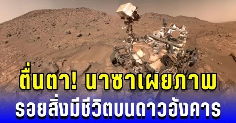 ตื่นตา! นาซาเผยภาพรอยสิ่งมีชีวิตบนดาวอังคาร ชี้ชัดเจนสุดเท่าที่เคยมีมา