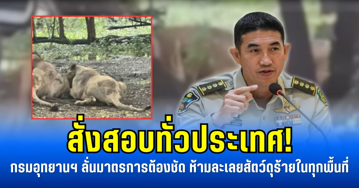 สั่งสอบทั่วประเทศ! กรมอุทยานฯ ลั่นมาตรการต้องชัด ห้ามละเลยสัตว์ดุร้ายในทุกพื้นที่
