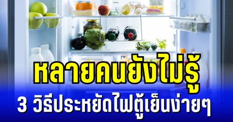 หลายคนยังไม่รู้ วิธีประหยัดไฟตู้เย็นง่าย ๆ ลดค่าใช้จ่ายในกระเป๋า