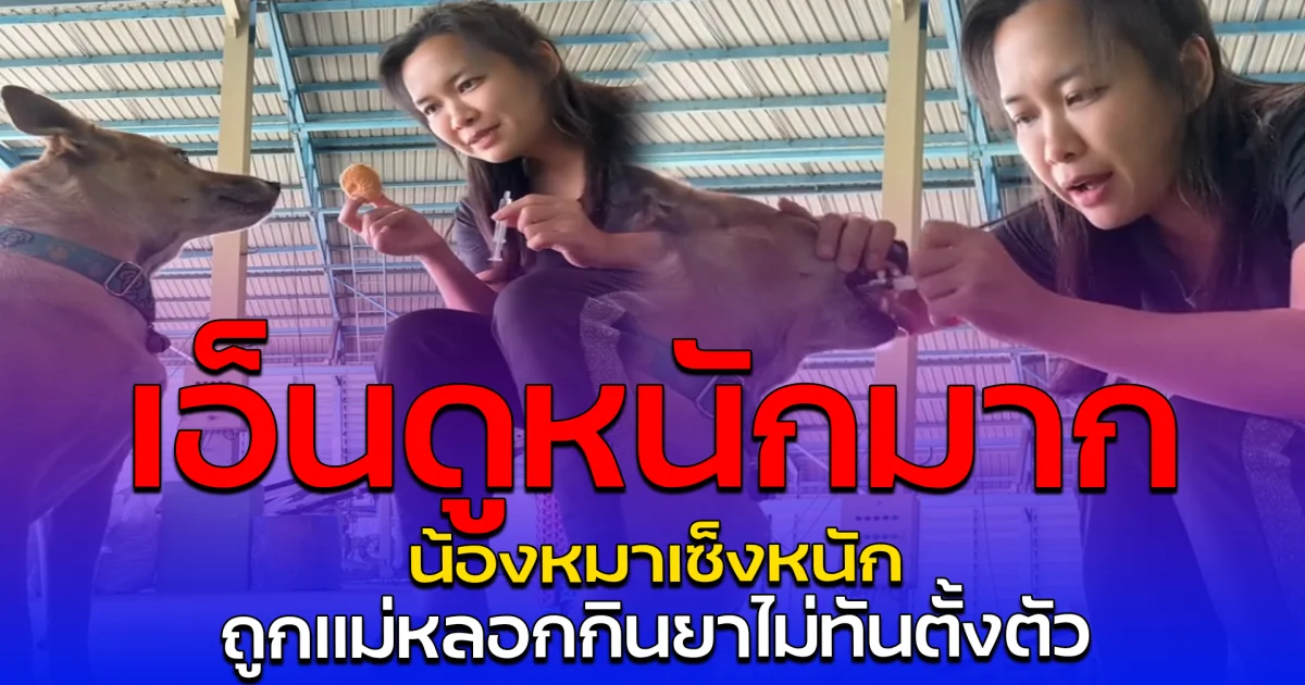 เอ็นดูหนักมาก น้องหมาเซ็งหนัก ถูกแม่หลอกกินยาไม่ทันตั้งตัว