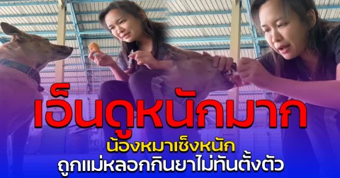 เอ็นดูหนักมาก น้องหมาเซ็งหนัก ถูกแม่หลอกกินยาไม่ทันตั้งตัว