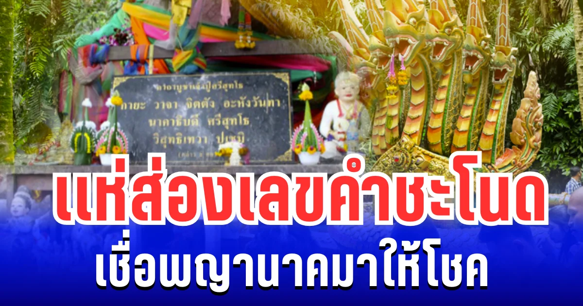 งวดที่แล้วให้ตรงเป๊ะ! เเห่ส่องเลขคำชะโนด เชื่อพญานาคมาให้โชค