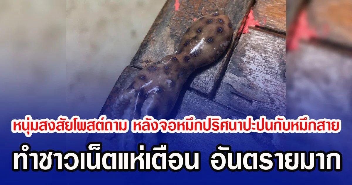 หนุ่มสงสัยโพสต์ถาม หลังจอหมึกปริศนาปะปนกับหมึกสาย ทำชาวเน็ตแห่เตือน อันตรายมาก