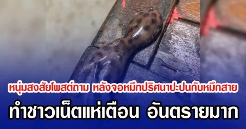 หนุ่มสงสัยโพสต์ถาม หลังจอหมึกปริศนาปะปนกับหมึกสาย ทำชาวเน็ตแห่เตือน อันตรายมาก