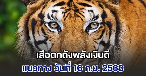 เซฟเก็บไว้เลย แนวทางจาก เสือตกถังพลังเงินดี วันที่ 16 กันยายน 2568