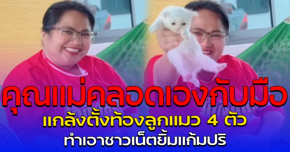 คุณแม่คลอดเองกับมือ แกล้งตั้งท้องลูกแมว 4 ตัว ทำเอาชาวเน็ตยิ้มแก้มปริ