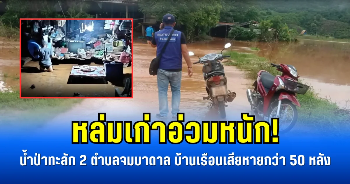 หล่มเก่าอ่วมหนัก! น้ำป่าทะลัก 2 ตำบลจมบาดาล บ้านเรือนเสียหายกว่า 50 หลัง