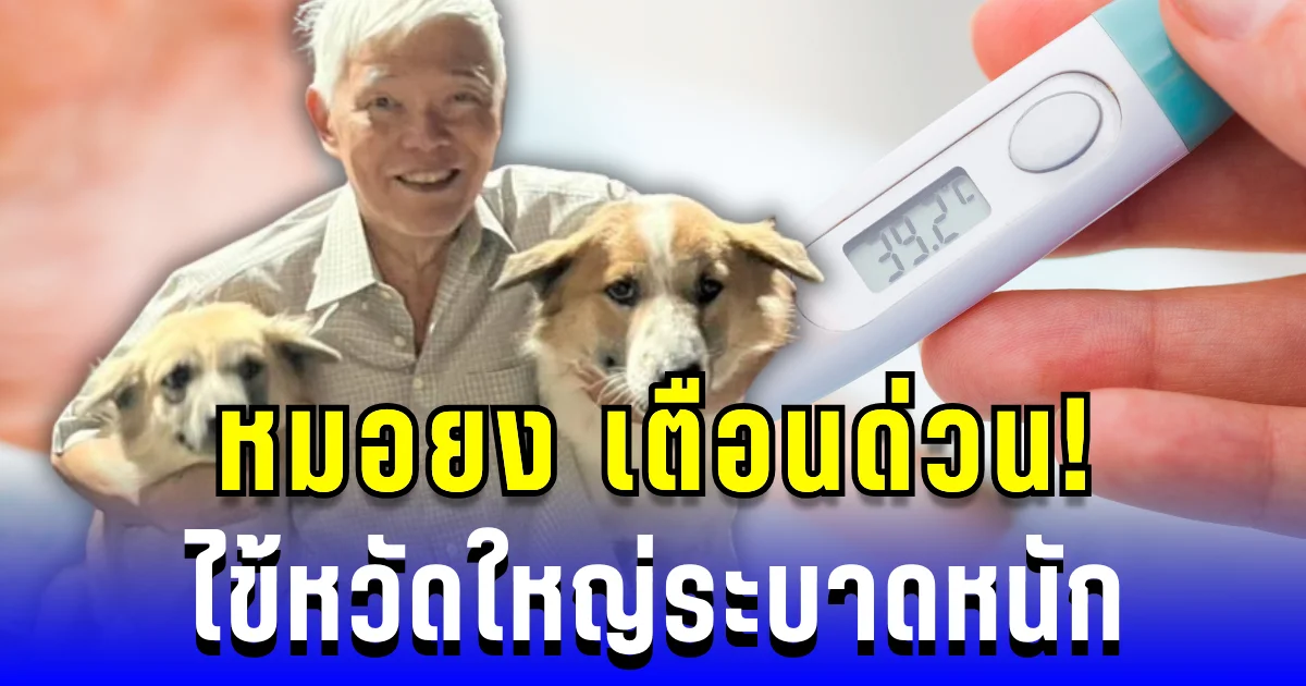 หมอยง เตือนด่วน! ไข้หวัดใหญ่ระบาดหนัก RSV ยังไม่หยุดแพร่ในเด็กเล็ก