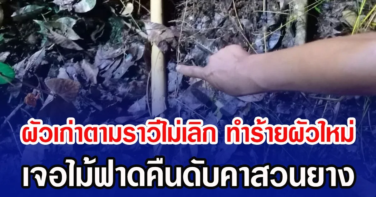 ผัวเก่าตามราวีไม่เลิก ทำร้ายผัวใหม่ เจอไม้ฟาดคืนดับคาสวนยาง