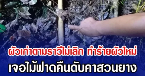 ผัวเก่าตามราวีไม่เลิก ทำร้ายผัวใหม่ เจอไม้ฟาดคืนดับคาสวนยาง