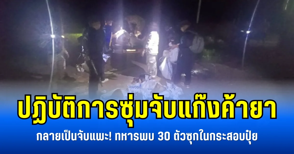ปฏิบัติการซุ่มจับแก๊งค้ายา กลายเป็นจับแพะ! ทหารพบ 30 ตัวซุกในกระสอบปุ๋ย