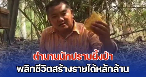 ตำนานนักปราบผึ้งป่า พลิกชีวิตด้วยผึ้งโพรงป่า สร้างรายได้หลักล้าน