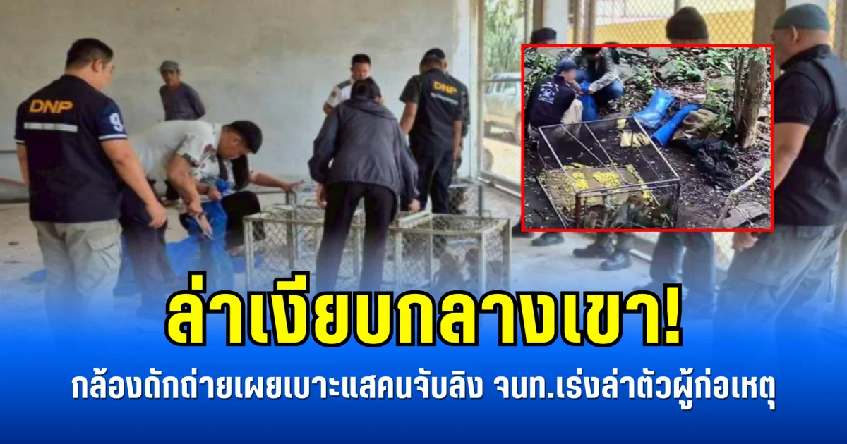 ล่าเงียบกลางเขา! กล้องดักถ่ายเผยเบาะแสคนจับลิง จนท.เร่งล่าตัวผู้ก่อเหตุ