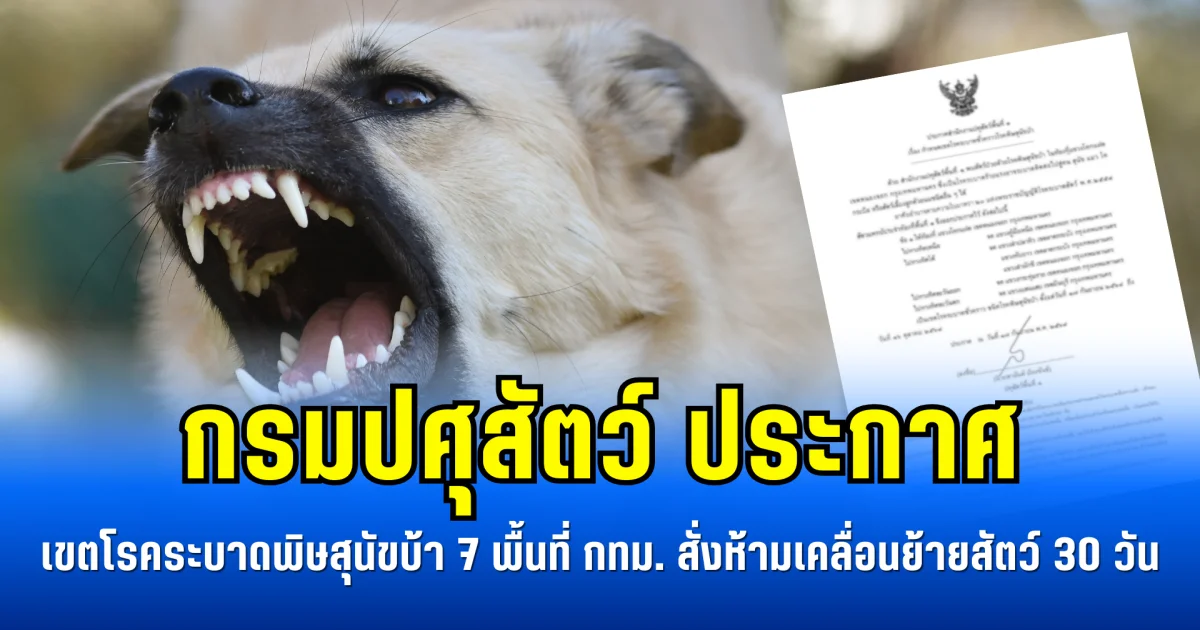 กรมปศุสัตว์ ประกาศ เขตโรคระบาดพิษสุนัขบ้า 7 พื้นที่ กทม. สั่งห้ามเคลื่อนย้ายสัตว์ 30 วัน