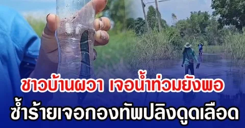 ชาวบ้านผวา เจอนํ้าท่วมยังพอ ซํ้าร้ายเจอกองทัพปลิงดูดเลือด