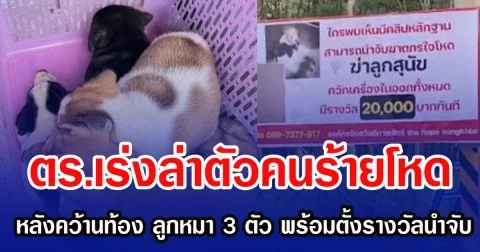 ตร.เร่งล่าตัวคนร้ายโหด หลังคว้านท้อง ลูกหมา 3 ตัว พร้อมตั้งรางวัลนำจับ