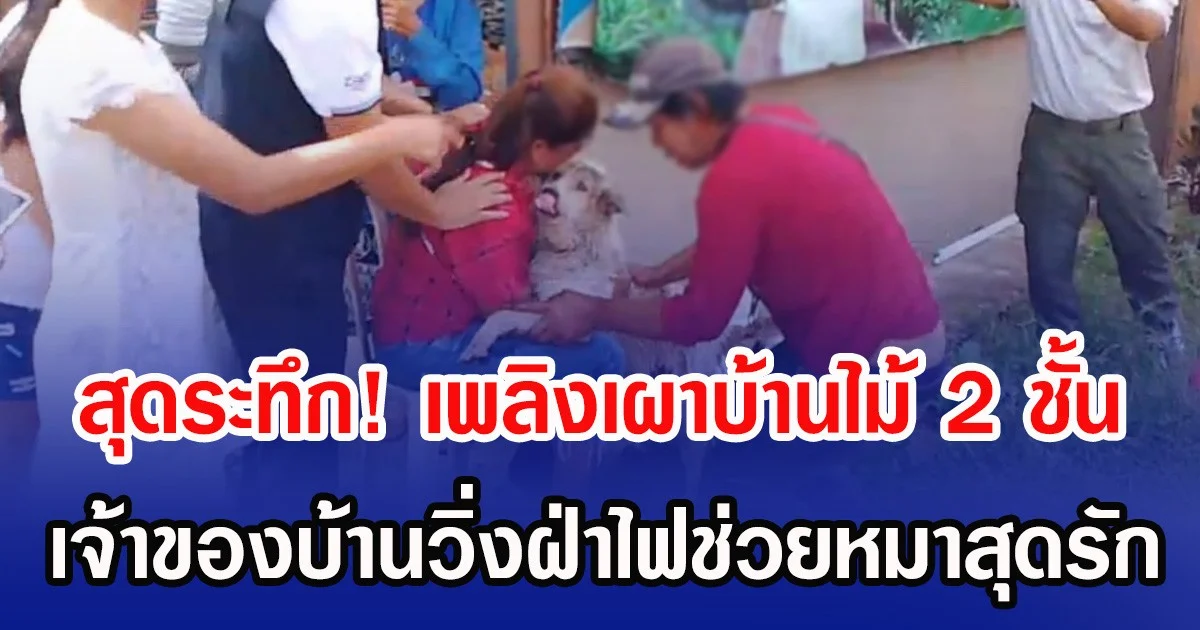 สุดระทึก! เพลิงเผาบ้านไม้ 2 ชั้น เจ้าของบ้านวิ่งฝ่าไฟช่วยหมาสุดรัก