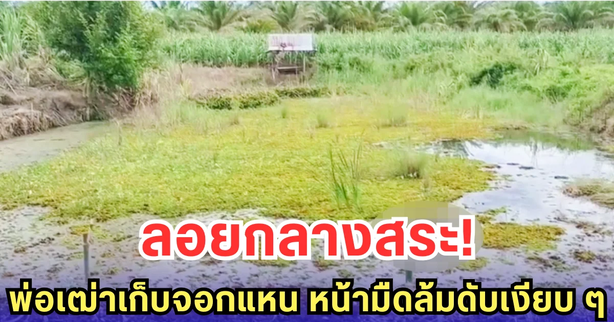 ลอยกลางสระ! พ่อเฒ่าเก็บจอกแหน หน้ามืดล้มดับเงียบ ๆ
