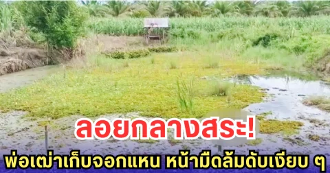 ลอยกลางสระ! พ่อเฒ่าเก็บจอกแหน หน้ามืดล้มดับเงียบ ๆ