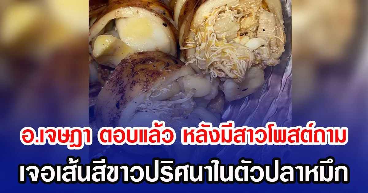 อ.เจษฎา ตอบแล้ว หลังมีสาวโพสต์ถาม เจอเส้นสีขาวปริศนาในตัวปลาหมึก