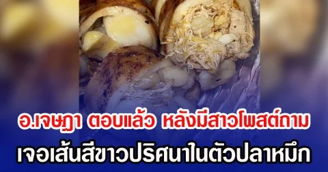 อ.เจษฎา ตอบแล้ว หลังมีสาวโพสต์ถาม เจอเส้นสีขาวปริศนาในตัวปลาหมึก
