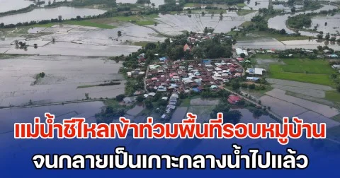แม่น้ำชีไหลเข้าท่วมพื้นที่รอบหมู่บ้าน จนกลายเป็นเกาะกลางน้ำไปแล้ว