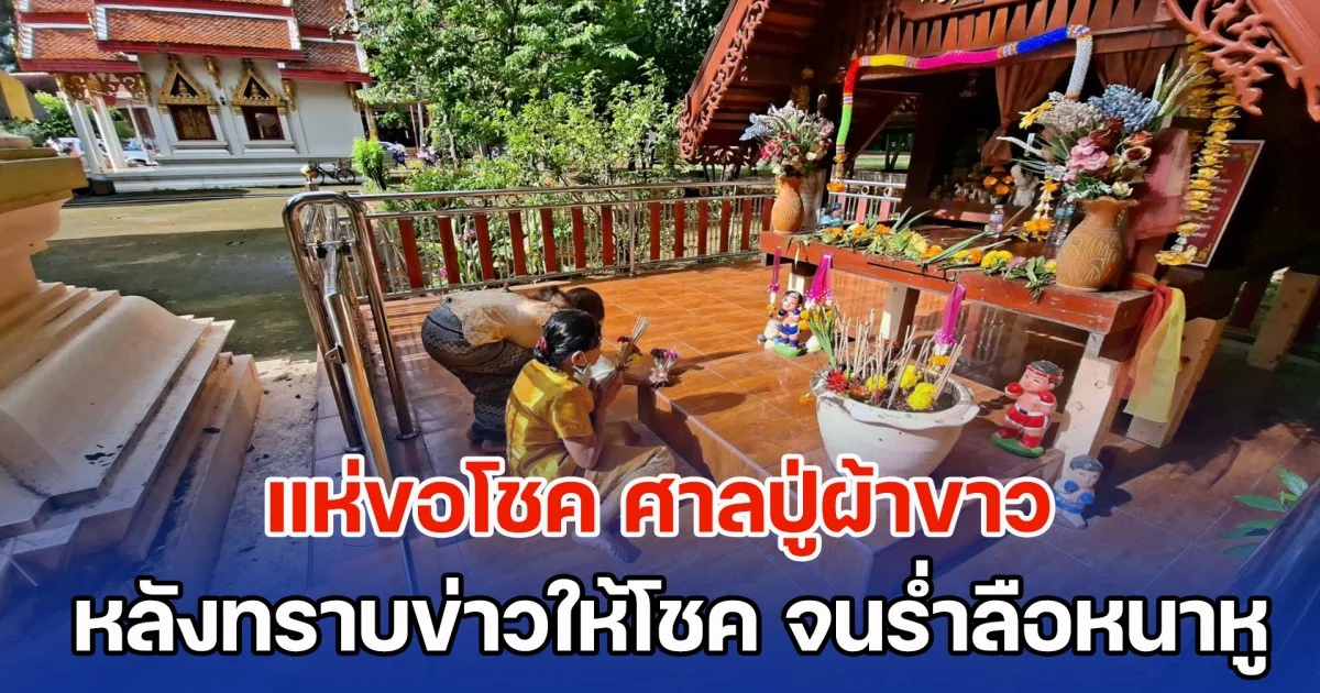 แห่ขอโชค ศาลปู่ผ้าขาว หลังทราบข่าวให้โชค จนเป็นเสียงร่ำลือหนาหู