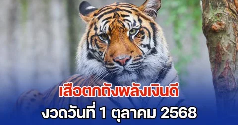 เซฟเก็บไว้เลย แนวทางจาก เสือตกถังพลังเงินดี วันที่ 1 ตุลาคม 2568