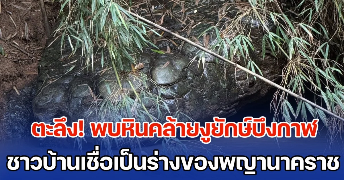 ตะลึง! พบหินคล้ายงูยักษ์บึงกาฬ โผล่ข้างลำน้ำเข็ก เขาค้อ ใกล้กันมีวังน้ำวนแปลกตา ชาวบ้านเชื่อเป็นร่างของพญานาคราช