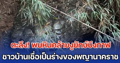 ตะลึง! พบหินคล้ายงูยักษ์บึงกาฬ โผล่ข้างลำน้ำเข็ก เขาค้อ ใกล้กันมีวังน้ำวนแปลกตา ชาวบ้านเชื่อเป็นร่างของพญานาคราช