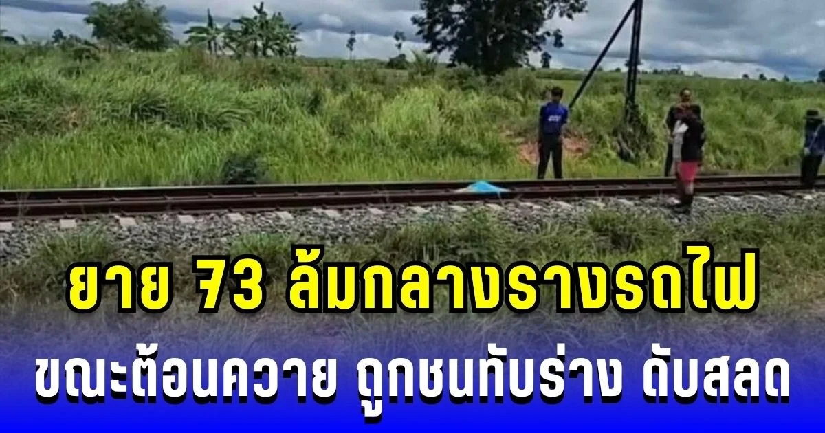 สุดเศร้า ยาย 73 ล้มกลางรางรถไฟ ขณะต้อนควาย ถูกชนทับร่าง ดับสลด