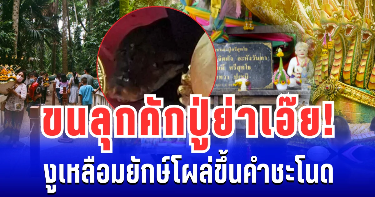 ขนลุกคักปู่ย่าเอ๊ย! งูเหลือมยักษ์โผล่ขึ้นคำชะโนด คอเลขเเห่ส่องตัวสั่น พ่อจ้ำเล่าครั้งก่อนโชคดีกันทั้งหมู่บ้าน