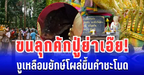 ขนลุกคักปู่ย่าเอ๊ย! งูเหลือมยักษ์โผล่ขึ้นคำชะโนด คอเลขเเห่ส่องตัวสั่น พ่อจ้ำเล่าครั้งก่อนโชคดีกันทั้งหมู่บ้าน