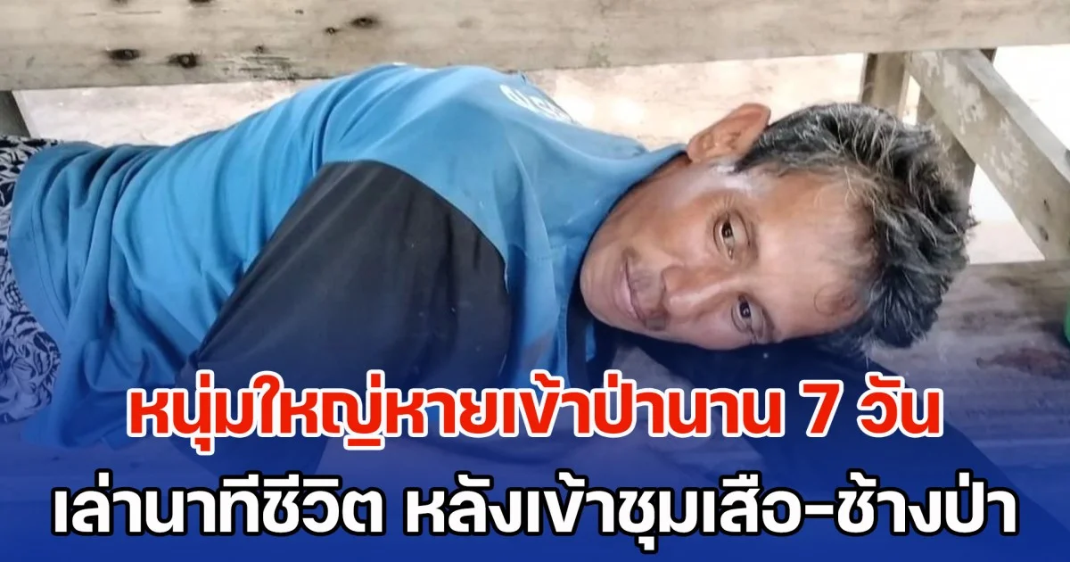 หนุ่มใหญ่ไปหาเห็ด หายเข้าป่าห้วยขาแข้งนาน 7 วัน กินน้ำประทังชีวิต เล่าวินาทีรอดชีวิต หลังเข้าชุมเสือ-ช้างป่า