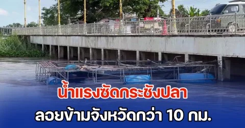 ป้าวัย 68 เล่าทั้งน้ำตา น้ำแรงซัดกระชังปลา ลอยข้ามจังหวัดกว่า 10 กม. ขับเรือตาม แต่ทำอะไรไม่ได้แล้ว สุดท้ายต้องยอมขายขาดทุน รักษาผัวป่วย นอนไอซียู