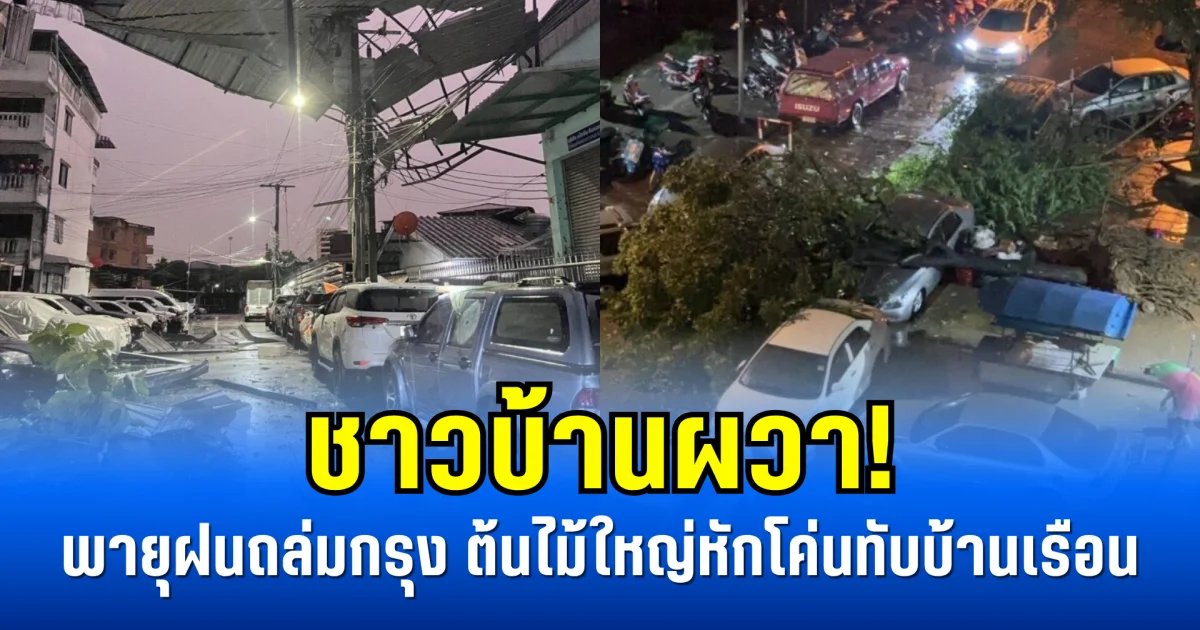 ชาวบ้านผวา! พายุฝนถล่มกรุง ต้นไม้ใหญ่หักโค่นทับบ้านเรือน