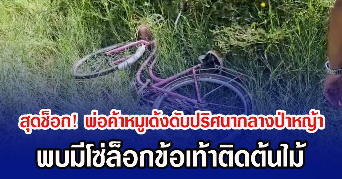 สุดช็อก! พ่อค้าหมูเด้งดับปริศนากลางป่าหญ้า พบมีโซ่ล็อกข้อเท้าติดต้นไม้