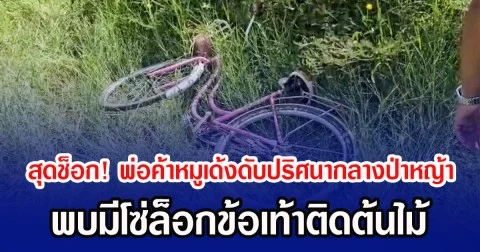 สุดช็อก! พ่อค้าหมูเด้งดับปริศนากลางป่าหญ้า พบมีโซ่ล็อกข้อเท้าติดต้นไม้