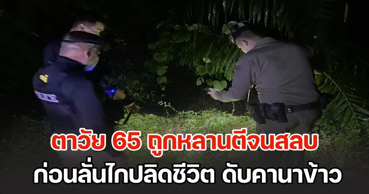 ตาวัย 65 ถูกหลานตีจนสลบ ก่อนลั่นไกปลิดชีวิต ดับสลดคานาข้าว