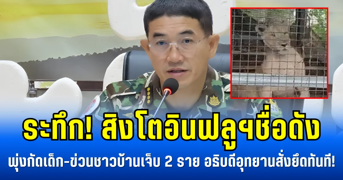 ระทึก!  สิงโตอินฟลูฯชื่อดัง พุ่งกัดเด็ก-ข่วนชาวบ้านเจ็บ 2 ราย อธิบดีอุทยานสั่งยึดทันที!
