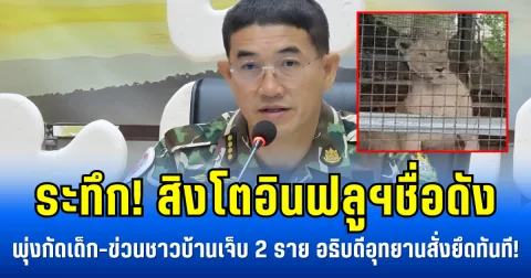 ระทึก!  สิงโตอินฟลูฯชื่อดัง พุ่งกัดเด็ก-ข่วนชาวบ้านเจ็บ 2 ราย อธิบดีอุทยานสั่งยึดทันที!