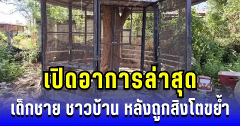 เปิดอาการล่าสุด เด็กชาย ชาวบ้าน หลังถูกสิงโตอินฟลูฯ ขย้ำ