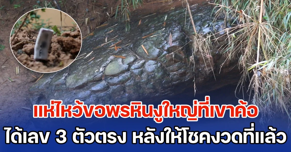 ชาวบ้านแห่ไหว้ขอพรหินงูใหญ่ที่เขาค้อ พร้อมได้เลข 3 ตัวตรง หลังให้โชคงวดที่ผ่านมา