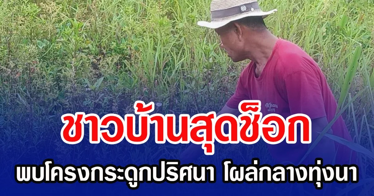 ชาวบ้านสุดช็อก พบโครงกระดูกปริศนา โผล่กลางทุ่งนา