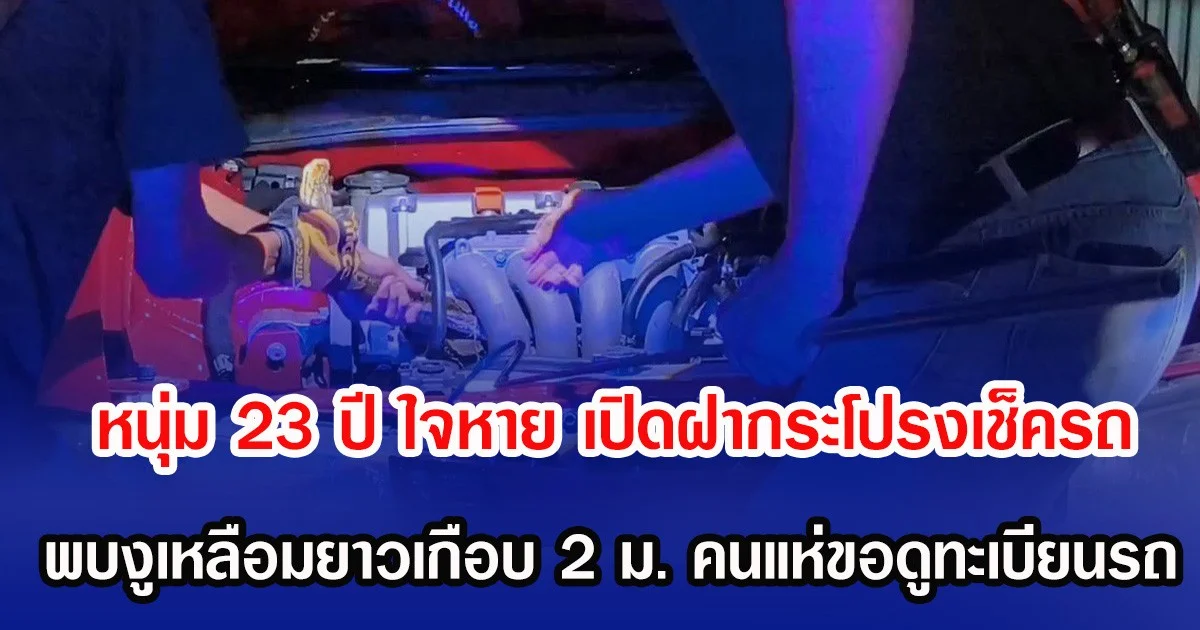 หนุ่ม 23 ปี ใจหาย เปิดฝากระโปรงเช็ครถ พบงูเหลือมยาวเกือบ 2 ม. คนแห่ขอดูทะเบียนรถ